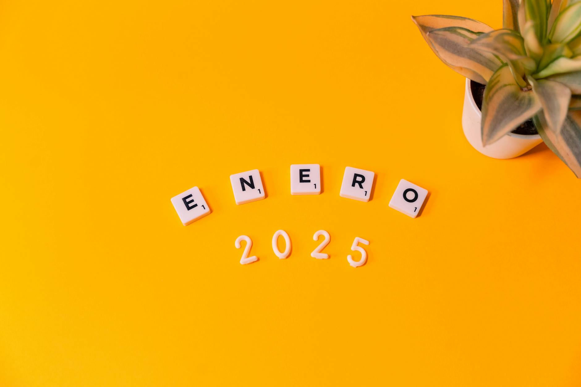 Analiza budżetu Kędzierzyna-Koźle na 2025 rok – dochody i wydatki miasta